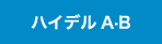 ハイデルブック A・B