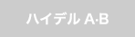 ハイデルブック A・B